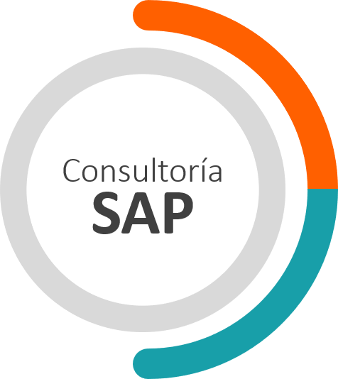 Silver Consulting - Consultoría SAP