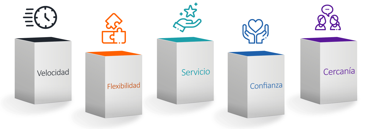 Consultoría SAP